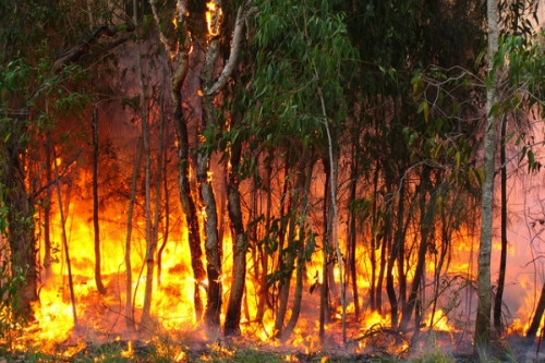 Incendie.jpg