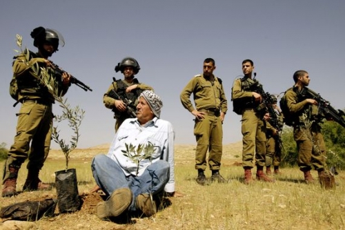Palestine agriculteurs.jpg